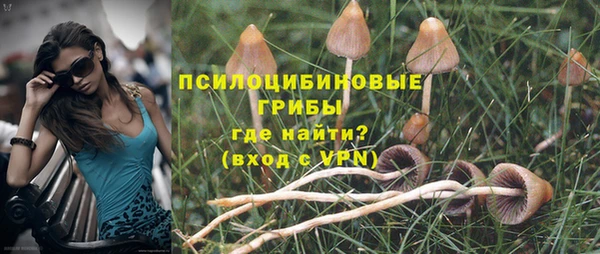 тгк Мегион