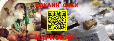 spice Бийск