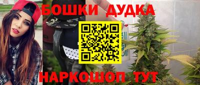 spice Бийск