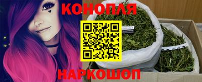 spice Бийск