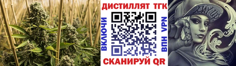 ТГК Wax  Владикавказ 
