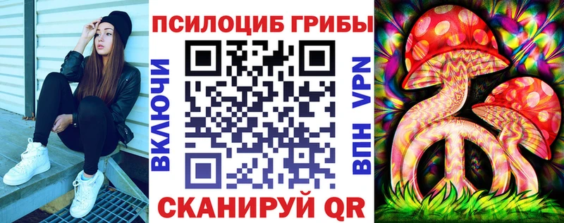 ОМГ ОМГ tor Владикавказ Псилоцибиновые грибы мицелий дарнет шоп