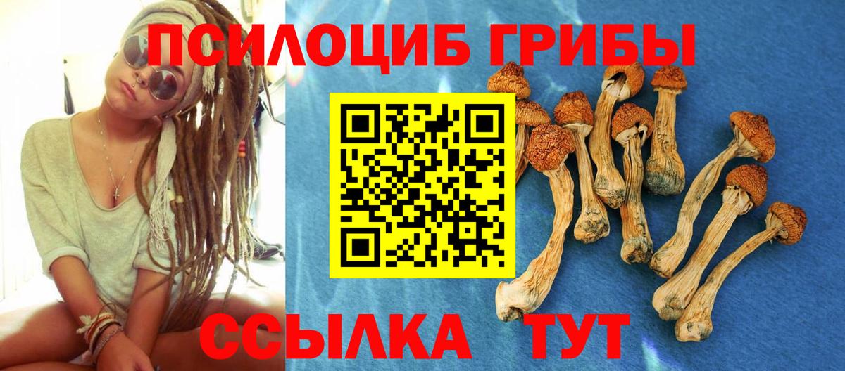 Псилоцибиновые грибы мухоморы Владикавказ