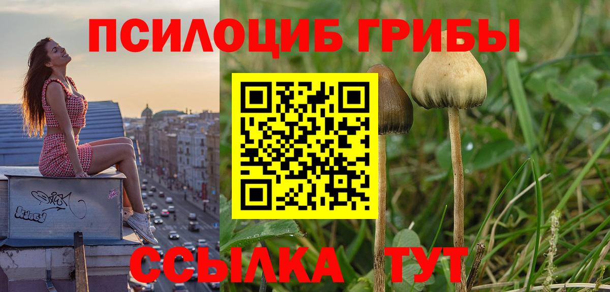 Галлюциногенные грибы прущие грибы Владикавказ