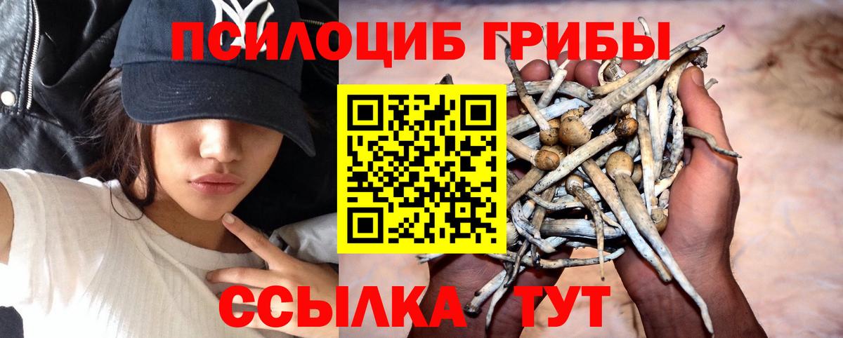 Галлюциногенные грибы Magic Shrooms  Вход с VPN  Владикавказ 
