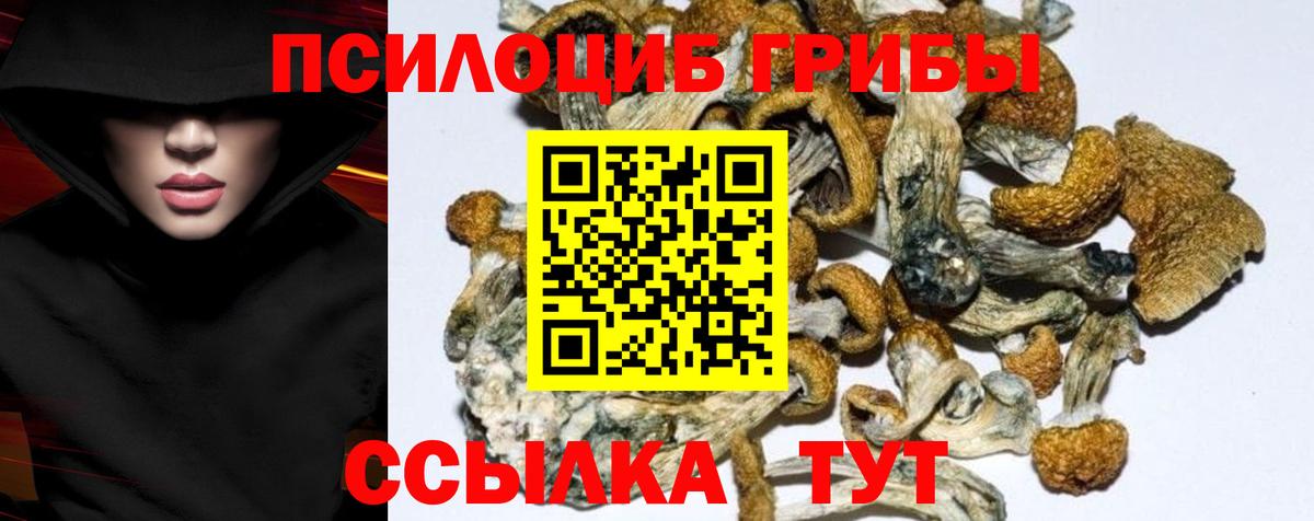 Псилоцибиновые грибы Magic Shrooms  Галлюциногенные грибы Cubensis  Владикавказ 