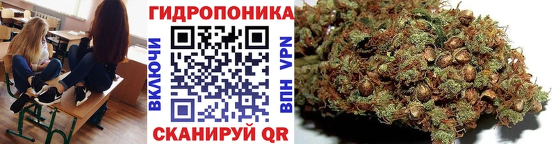 Бошки марихуана индика  Владикавказ 